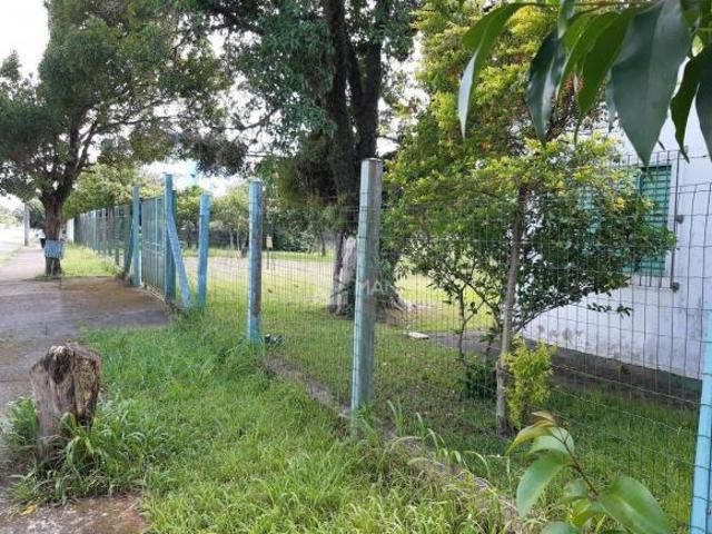 Terreno venda em Alvorada
