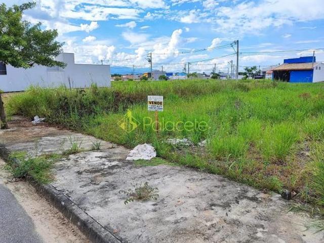 Terreno venda em Região Imediata de Taubaté-Pindamonhangaba, Região Metropolitana do Vale do Paraíba e Litoral Norte