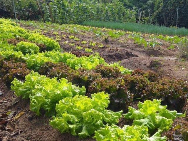 Terreno venda em Região Imediata de São José dos Campos, Região Metropolitana do Vale do Paraíba e Litoral Norte