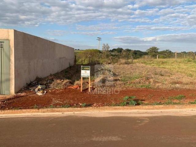 Terreno venda em Região Imediata de Jaú, Jaú