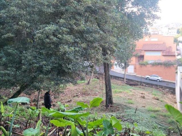 Terreno venda em Horto Florestal, São Paulo