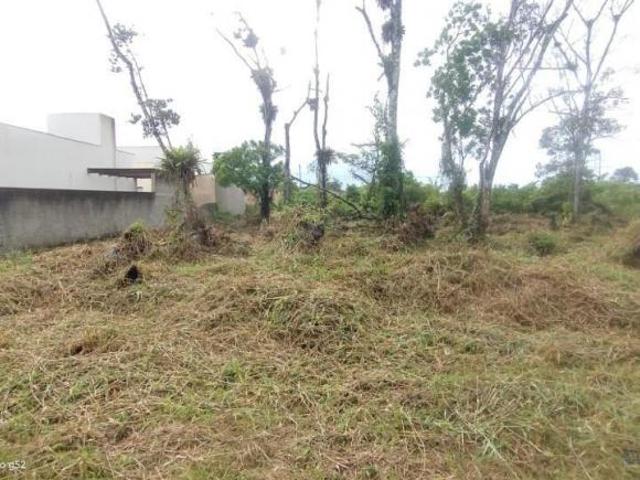 Terreno venda em Cohapar, Guaratuba