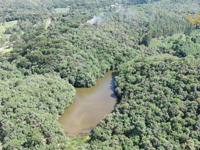 Terreno venda em Região Geográfica Imediata de Curitiba, Região Metropolitana de Curitiba