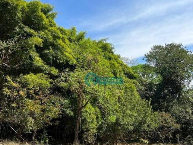 Terreno venda em Região Geográfica Imediata de Belo Horizonte, Região Metropolitana de Belo Horizonte