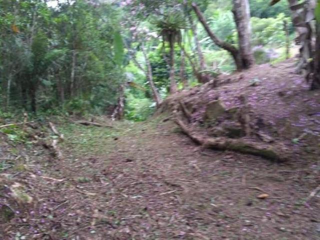 Terreno venda em Região Geográfica Imediata de Paranaguá, Morretes