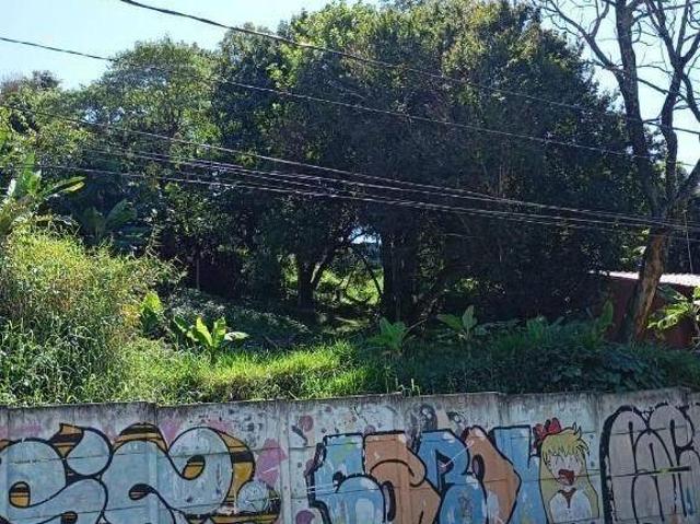 Terreno venda em Vila Carmosina, São Paulo