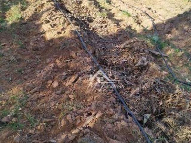 Terreno venda em Sumaré