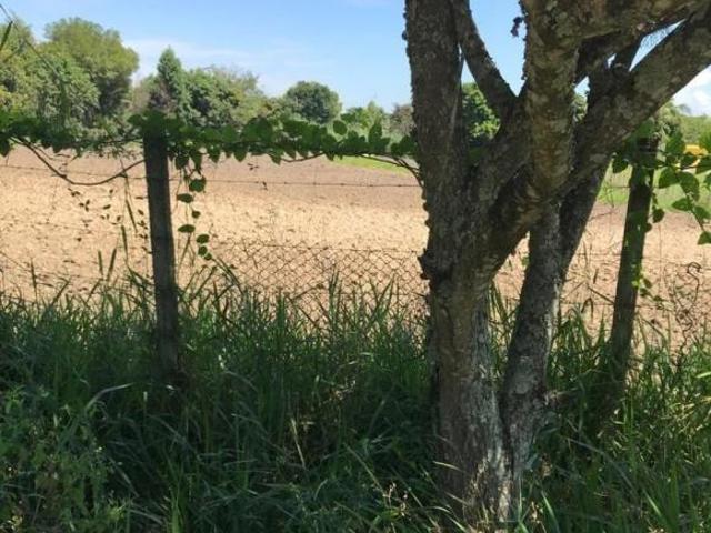 Terreno venda em Região Imediata de Guaratinguetá, Região Metropolitana do Vale do Paraíba e Litoral Norte
