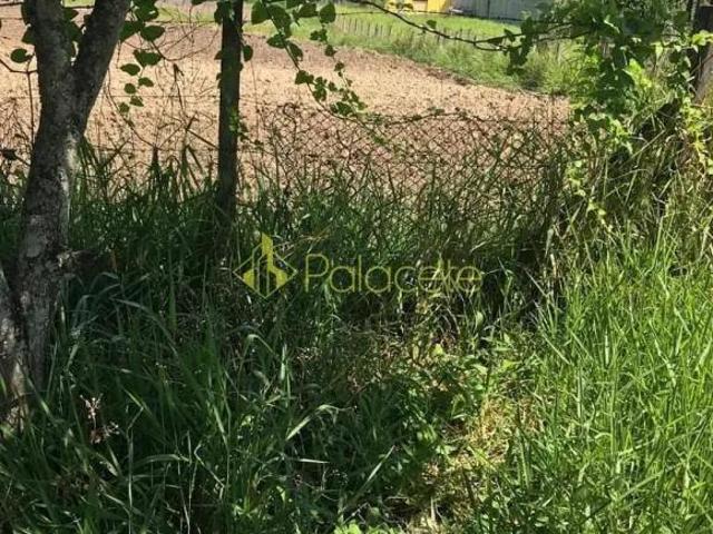 Terreno venda em Região Imediata de Guaratinguetá, Região Metropolitana do Vale do Paraíba e Litoral Norte