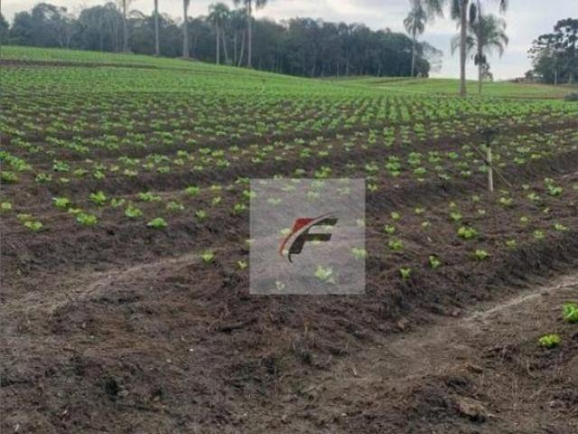 Terreno venda em Região Geográfica Imediata de Curitiba, Região Metropolitana de Curitiba