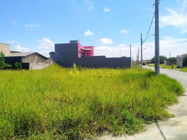 Terreno venda em Região Imediata de Taubaté-Pindamonhangaba, Região Metropolitana do Vale do Paraíba e Litoral Norte
