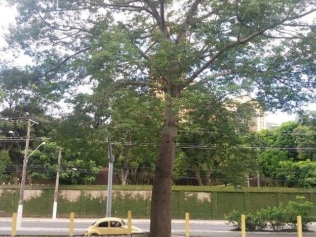 Terreno venda em Região Imediata de Guaratinguetá, Região Metropolitana do Vale do Paraíba e Litoral Norte