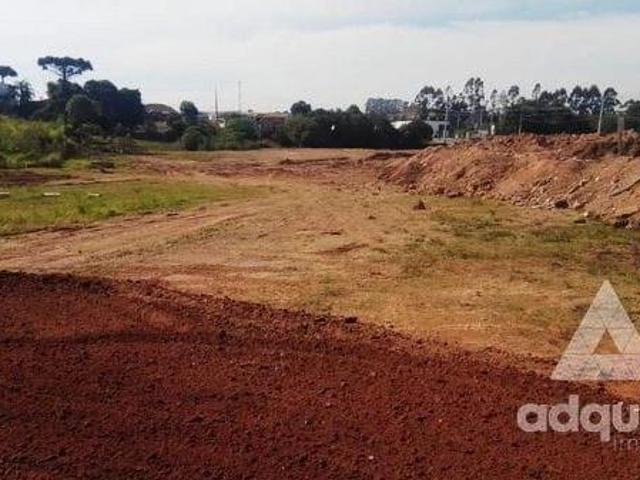 Terreno venda em Vila Farias, Castro