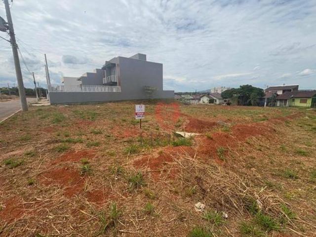 Terreno venda em Gravataí