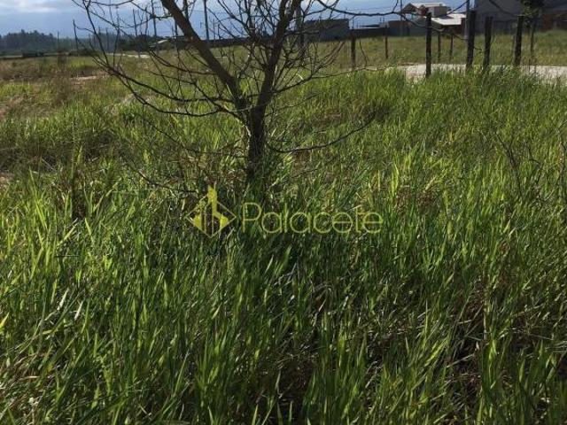 Terreno venda em Região Imediata de Taubaté-Pindamonhangaba, Região Metropolitana do Vale do Paraíba e Litoral Norte