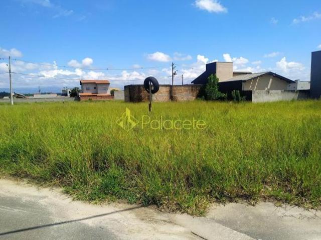 Terreno venda em Região Imediata de Taubaté-Pindamonhangaba, Região Metropolitana do Vale do Paraíba e Litoral Norte