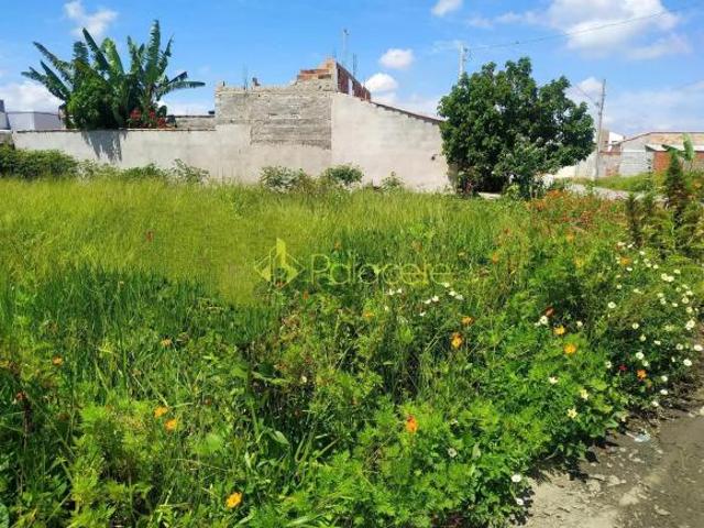 Terreno venda em Região Imediata de Taubaté-Pindamonhangaba, Região Metropolitana do Vale do Paraíba e Litoral Norte