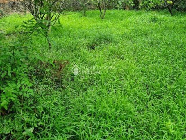Terreno venda em Região Geográfica Imediata de Porto Alegre, Região Metropolitana de Porto Alegre