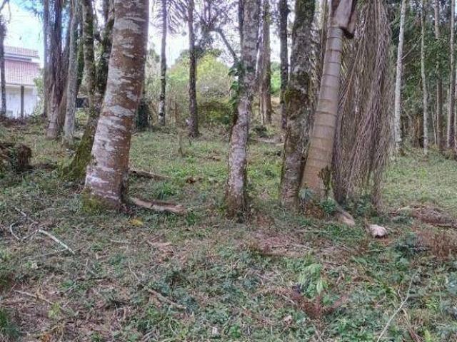 Terreno venda em Região Geográfica Imediata de Curitiba, Região Metropolitana de Curitiba