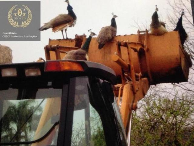 Terreno venda em Região Geográfica Imediata de Porto Alegre, Região Metropolitana de Porto Alegre