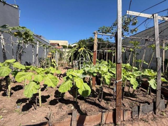 Terreno venda em Região Imediata de Piracicaba, Região Metropolitana de Piracicaba