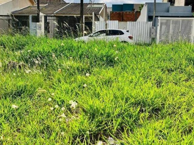 Terreno venda em Região Geográfica Imediata de Cascavel, Cascavel