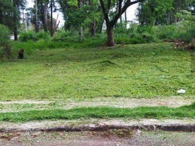Terreno venda em Região Geográfica Imediata de Cascavel, Cascavel