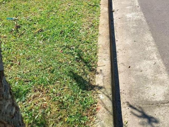 Terreno venda em Região Geográfica Imediata de Porto Alegre, Região Metropolitana de Porto Alegre