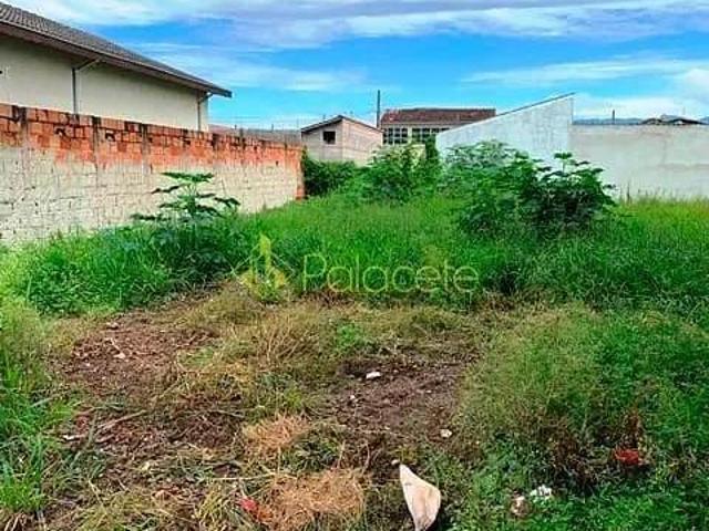 Terreno venda em Região Imediata de Taubaté-Pindamonhangaba, Região Metropolitana do Vale do Paraíba e Litoral Norte