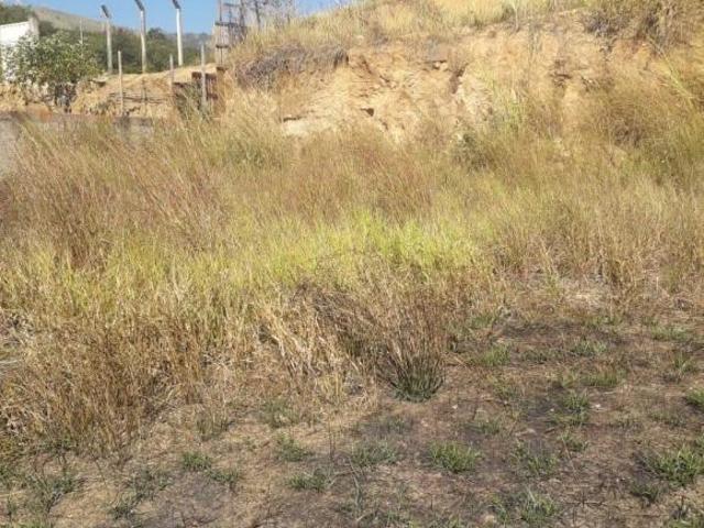 Terreno venda em Região Imediata de Guaratinguetá, Região Metropolitana do Vale do Paraíba e Litoral Norte