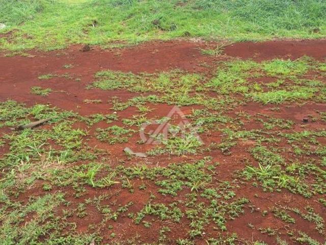 Terreno venda em Região Geográfica Imediata de Londrina, Londrina