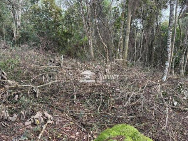 Terreno venda em Região Imediata de Sorocaba, Região Metropolitana de Sorocaba