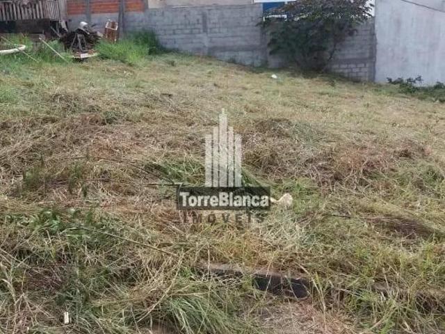 Terreno venda em Região Geográfica Imediata de Telêmaco Borba, Tibagi