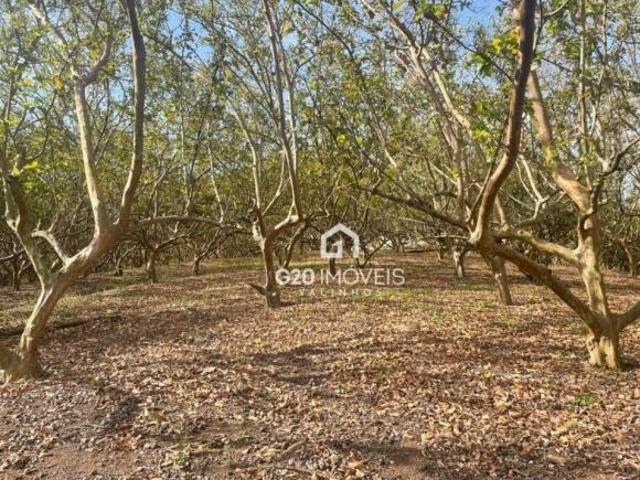 Terreno venda em Região Imediata de Campinas, Região Metropolitana de Campinas