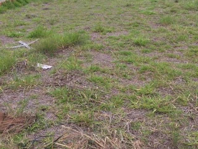 Terreno venda em Boituva, Vila dos Ipês
