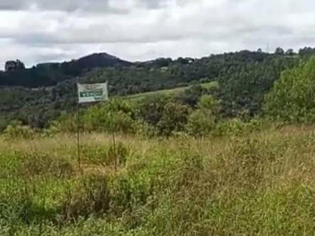 Terreno venda em Campo de São Benedito, Campo Magro