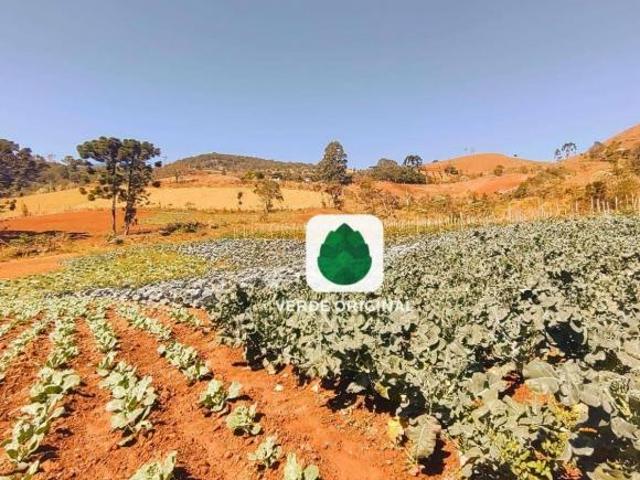 Terreno venda em Região Geográfica Imediata de Itajubá, Sapucaí-Mirim