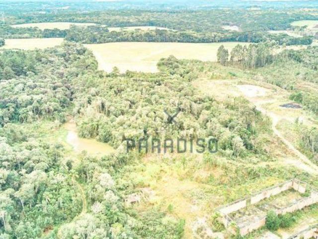 Terreno venda em Região Geográfica Imediata de Curitiba, Região Metropolitana de Curitiba