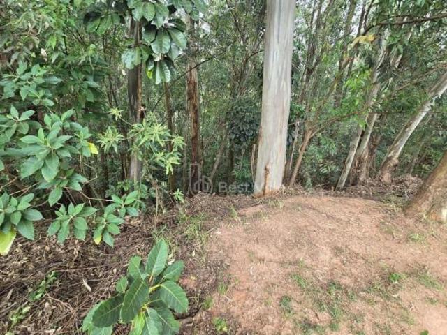 Terreno venda em Centro Empresarial Tamboré, Barueri