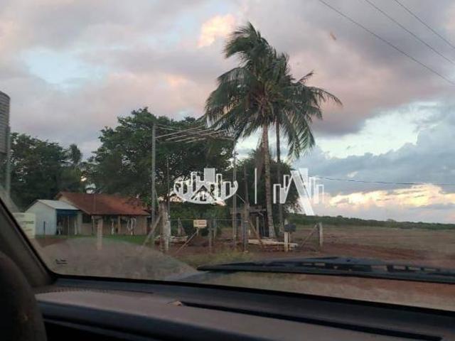 Terreno venda em Ibiaci, Primeiro de Maio