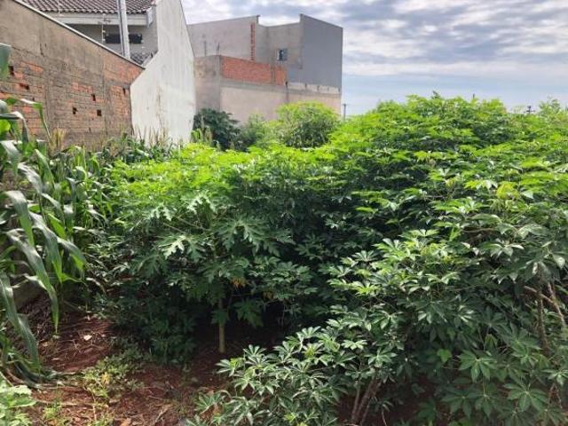 Terreno venda em Região Imediata de Campinas, Região Metropolitana de Campinas