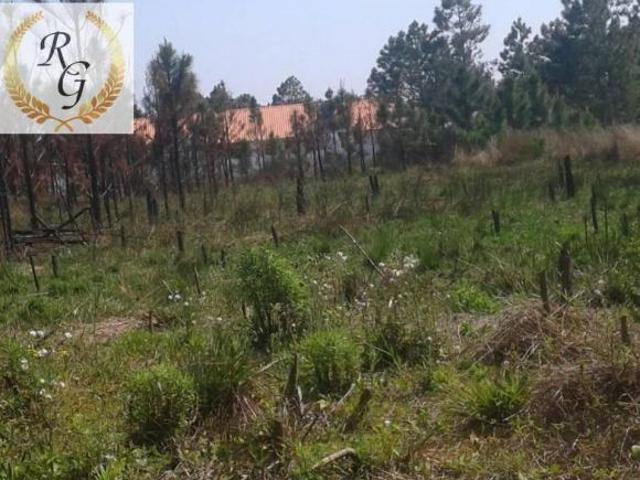Terreno venda em Região Geográfica Imediata de Tramandaí - Osório, Aglomeração Urbana do Litoral Norte
