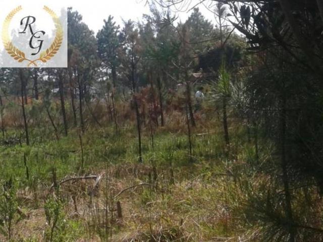 Terreno venda em Região Geográfica Imediata de Tramandaí - Osório, Aglomeração Urbana do Litoral Norte