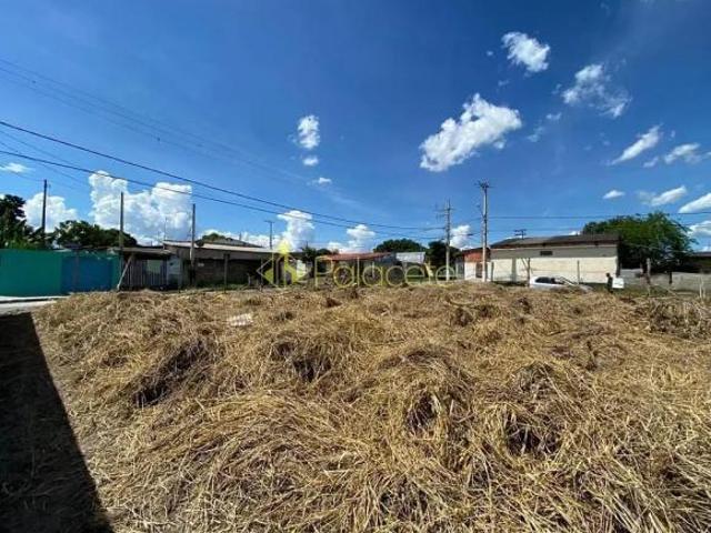 Terreno venda em Região Imediata de Taubaté-Pindamonhangaba, Região Metropolitana do Vale do Paraíba e Litoral Norte