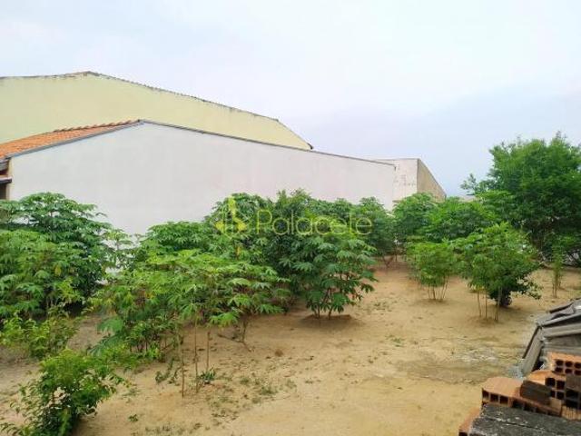 Terreno venda em Região Imediata de Taubaté-Pindamonhangaba, Região Metropolitana do Vale do Paraíba e Litoral Norte