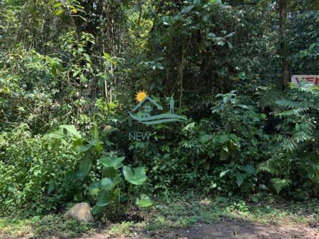 Terreno venda em Maresias, São Sebastião
