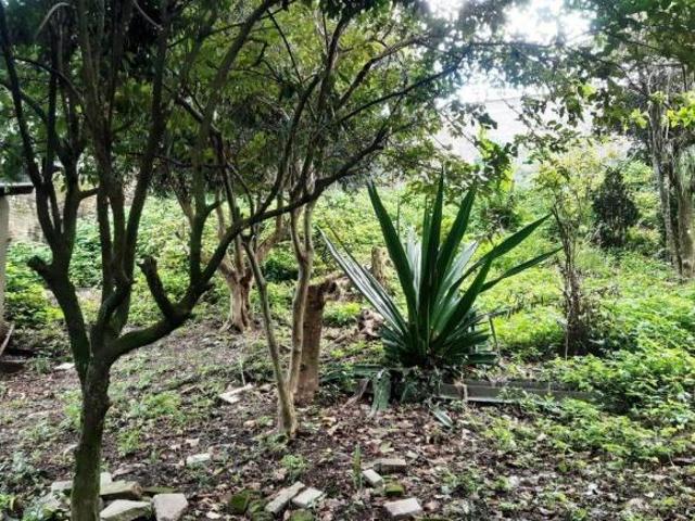 Terreno venda em Quiririm, Taubaté