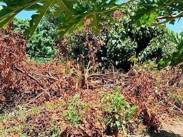 Terreno venda em Região Imediata de Taubaté-Pindamonhangaba, Região Metropolitana do Vale do Paraíba e Litoral Norte