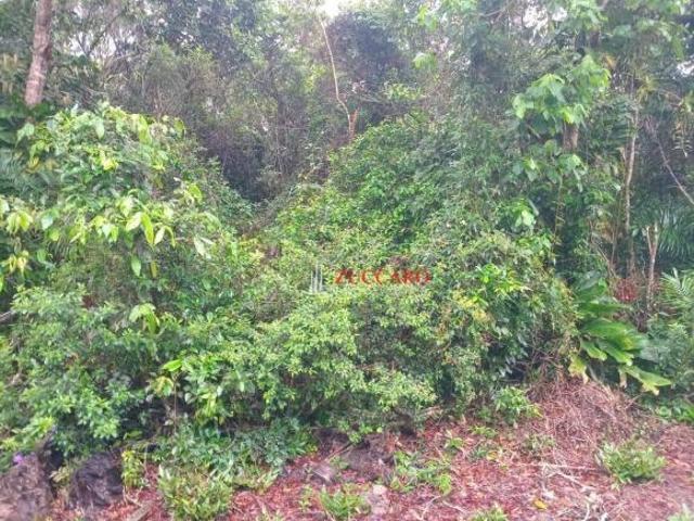 Terreno venda em Iguape, Iguape