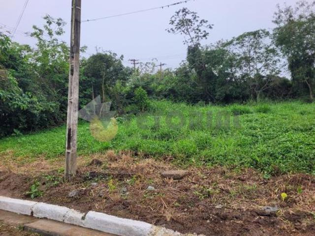 Terreno venda em Pegorelli, Caraguatatuba